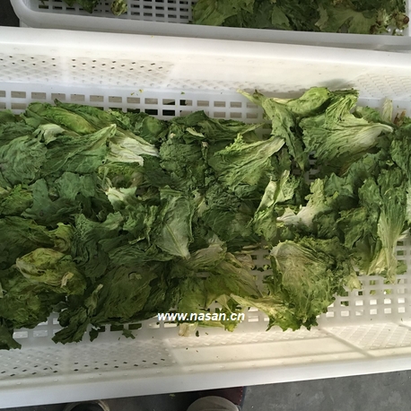 Vegetables Dryer
